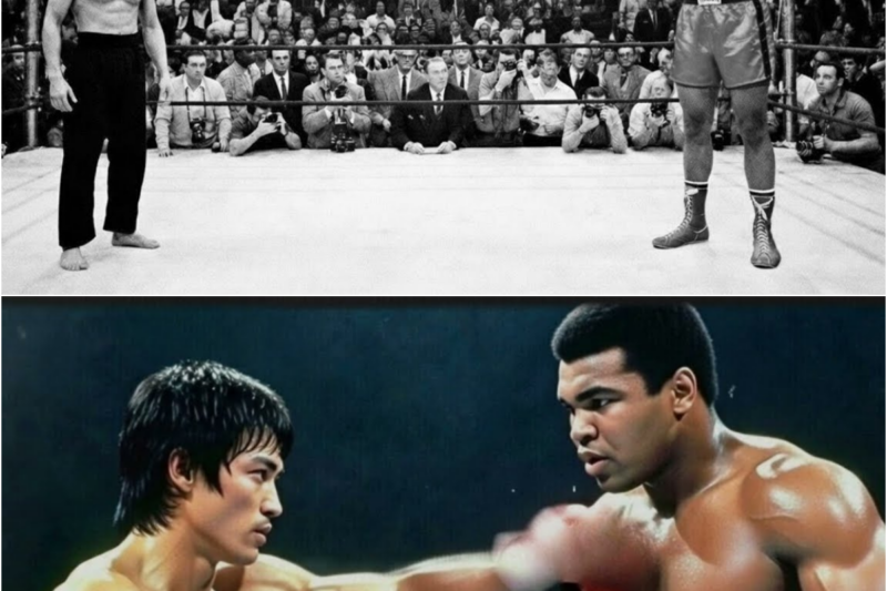 Muhammad Ali called Bruce Lee to the ring and said, “Hit me”… 3 seconds later, everything changed