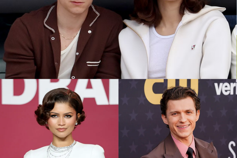 Zendaya and Tom Holland Just Melted Fans’ Hearts After Adopting a Rescue Dog