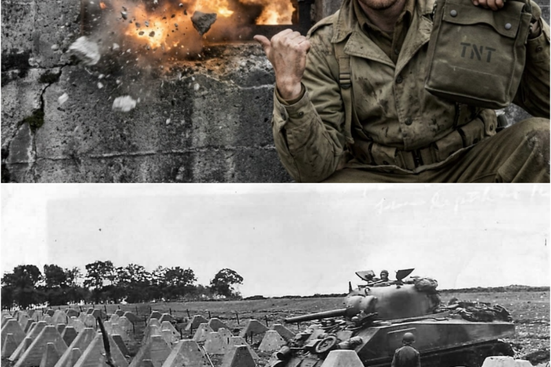 How US Infantry Made The Strongest German Bunkers Kill Their Own