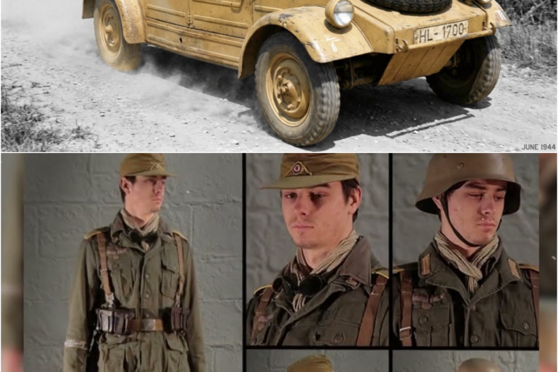 Why American Generals ‘Coveted’ German Jeeps and Refused to Give Them Back in WW2