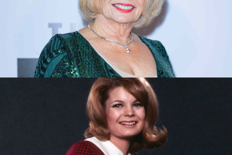 Kathy Garver Says Her Hair Started ‘Turning Green’ During Family Affair Audition Due to Last-Minute Dye Job