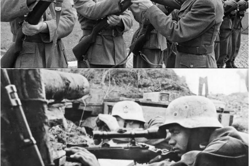 Germans Captured M1 Garand — Couldn’t Understand How Americans Fired 8 Rounds Without Reloading