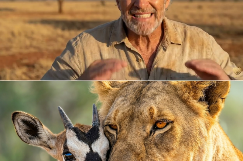 The TRUE STORY of Kamunyak: The LIONESS Who Adopted 6 Baby Antelopes 