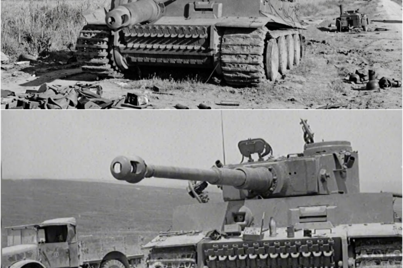 American Soldiers Found an Abandoned Tiger Tank. What They Discovered Inside Changed the War
