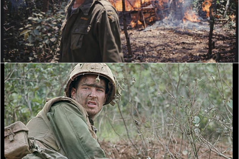 “We Found the Camp Empty” — A Marine Recon Veteran on Australian SAS Night Raids