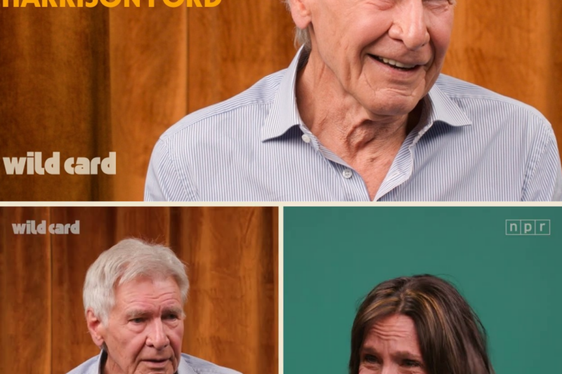 Harrison Ford: an honest (and hilarious) interview about rejecting advice and finding his own path
