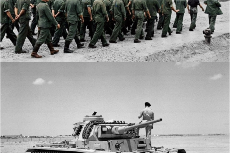 Why German Officers Said Americans Never Made The Same Mistake Twice