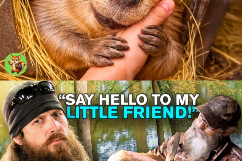 49 Minutes of Si and Jase Turning Work Into Fun (& Cha0s)