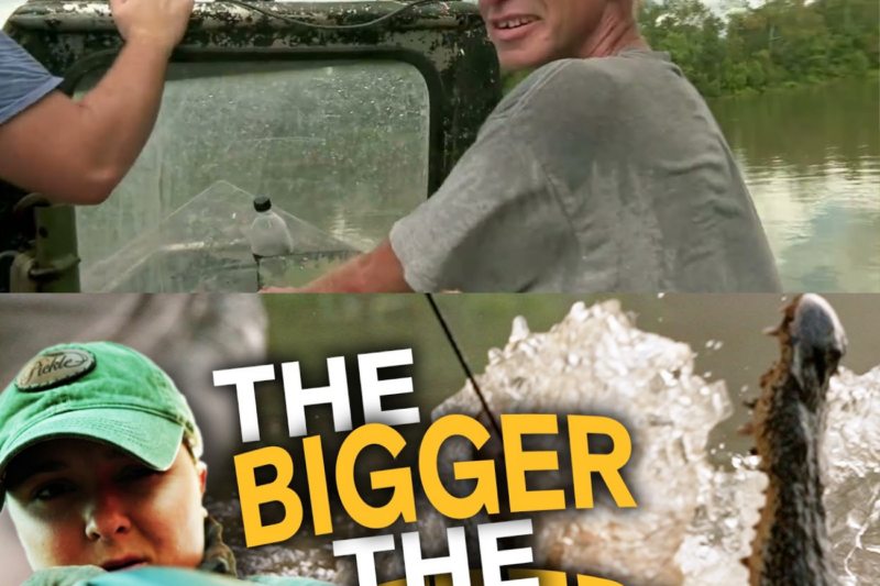 TOP 4 HUMONGOUS GATORS! | Swamp People
