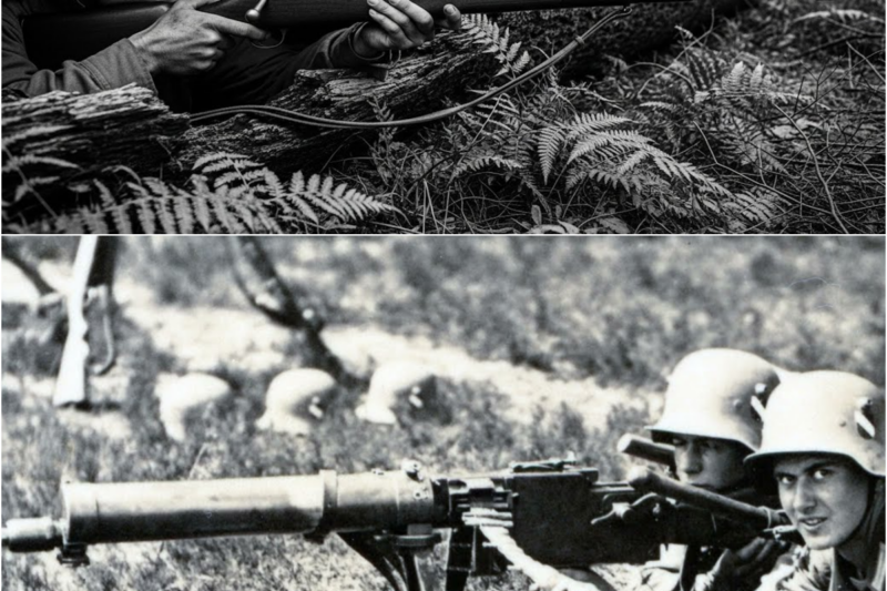 They Banned His “Hollow Log Sniper Hide” — Until It Dropped 14 Germans