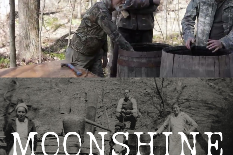 They called them criminals… but these ‘hillbillies’ quietly built one of America’s biggest underground empires
