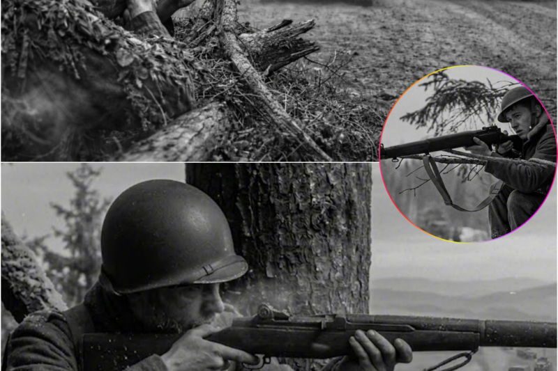 They Mocked “Ghost” Sniper’s Spot — Then He Stopped German Tanks for 7 Hours