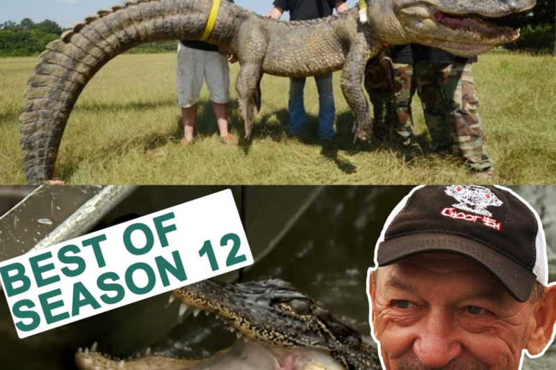 Swamp People: BIGGEST GATOR HUNTS OF ALL TIME 