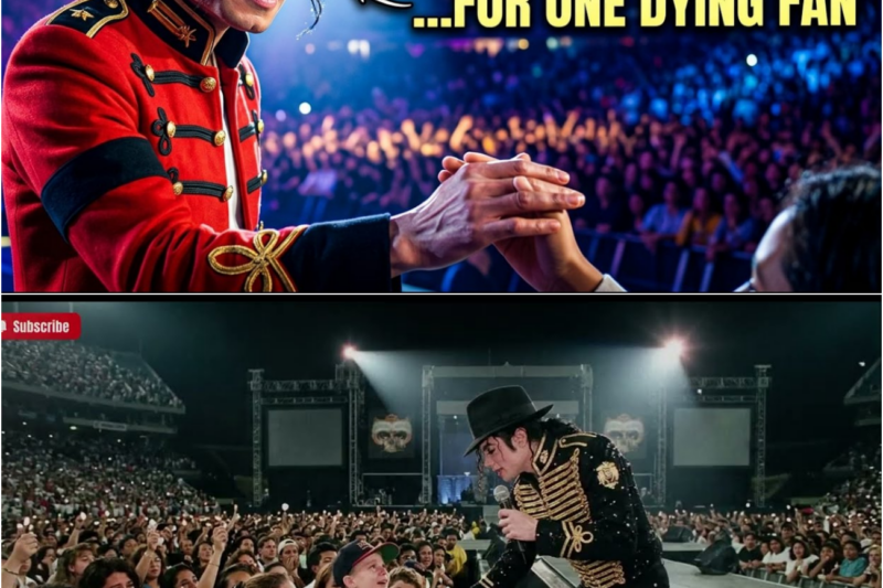 Michael Jackson Stopped a Concert for One Dying Fan… What Happened Next Made 38,000 People Cry