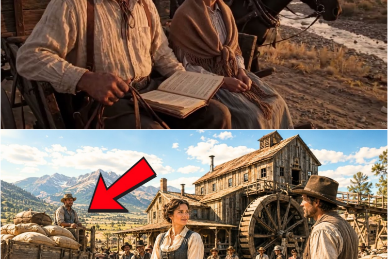 The Mill Owner Only Wanted a Wife to Grind the Grain — What the German Girl Built Was the Pride…