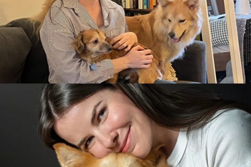 ‘SimonSits’ Creator Isabel Klee Shares Health Update on Beloved Dog Simon After Revealing His C4ncer Diagnosis