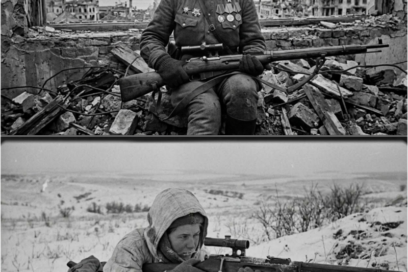 The Soviet Female Sniper Trick That Killed 309 German Officers Before Anyone Believed She Was Real