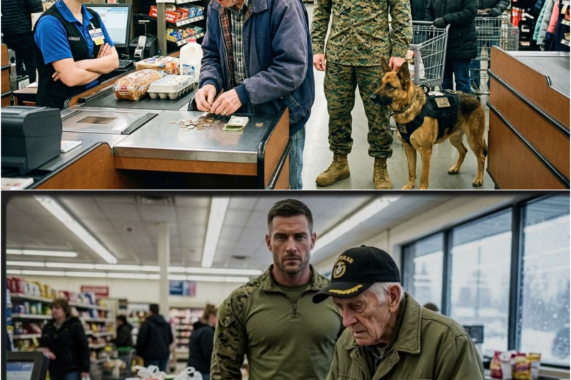 U.S. Marine Saw Veteran Short $3.86 for BREAD — What His K9 Did Next STUNNED Entire Store