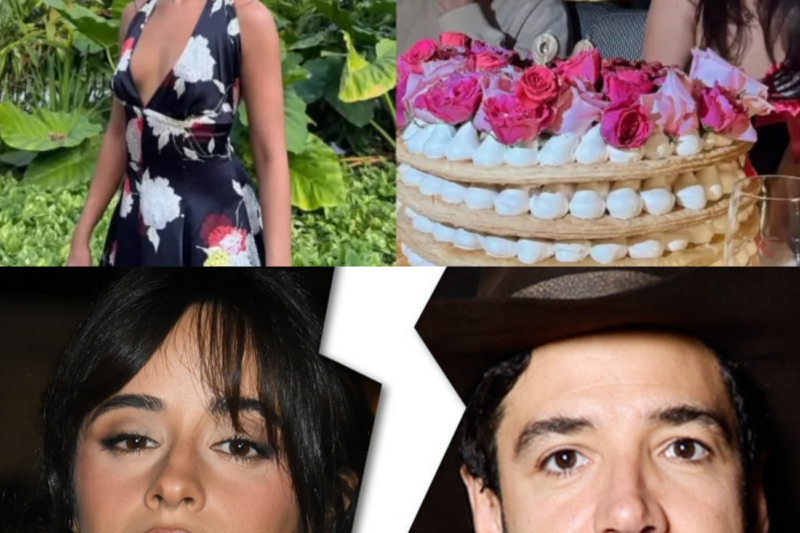 Camila Cabello and Henry Junior Chalhoub Reportedly Part Ways After More Than a Year Together