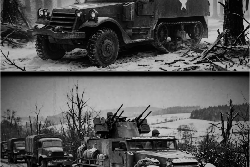 Why German Generals Called America’s M16 “Meat Chopper” — A Gruesome War Horror in WW2
