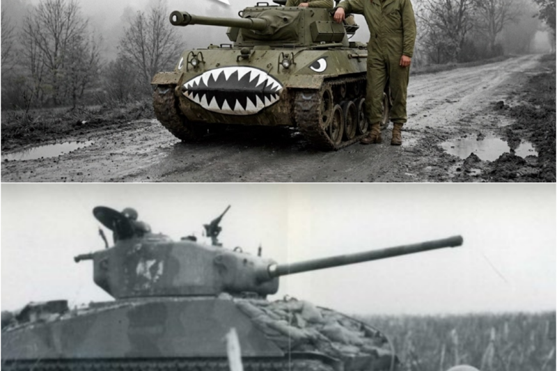 Germans Mocked This ‘Toy-Sized’ American Tank — Until He Destroyed 6 Panthers Alone