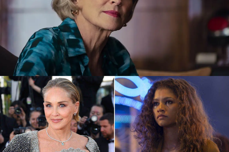 Sharon Stone Sparks Deb4te After Saying ‘Euphoria’ Should Be Shown in Every High School