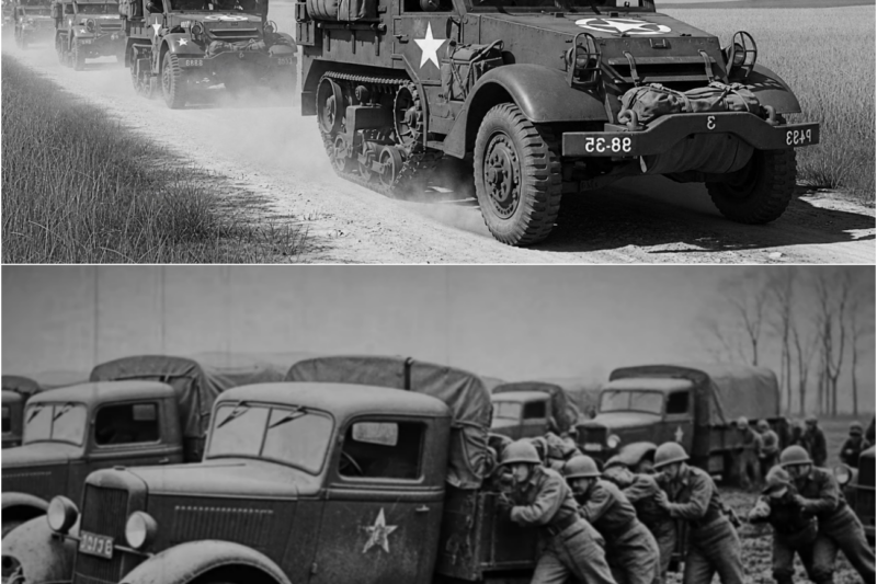 Why Did US Army Put Tracks on a Truck? M3 Half-Track Genius Explained