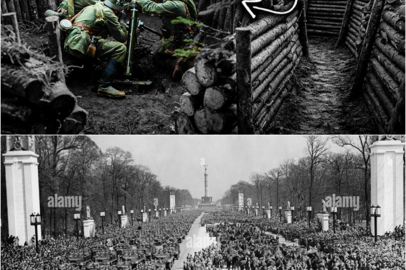 Why German Veterans Were Puzzled That U.S. Recruits Fought Like Regulars After Just Days
