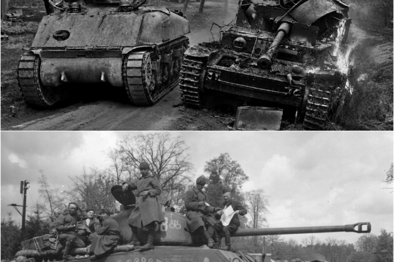 Why Germans Never Knew the “Weak” Sherman Had a Bullet That Killed Panthers