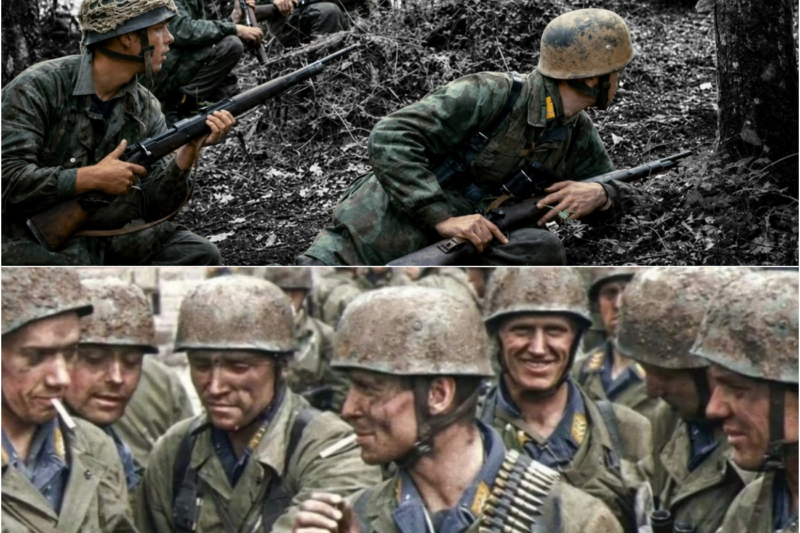 Why Was Camouflage That Devastated the British Army Powerless Against Americans in Normandy?