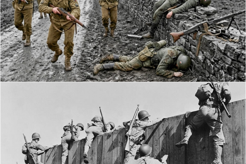 Why American Infantry Turned Every German Ambush Into a Killing Ground
