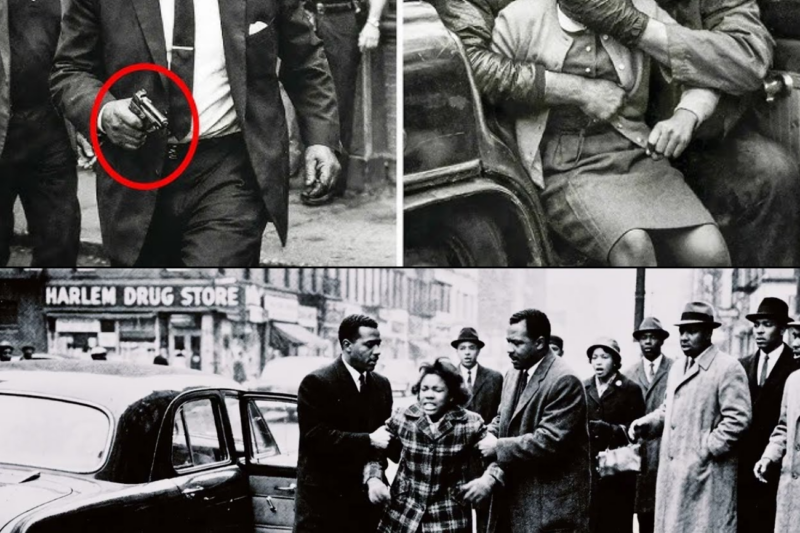 Bumpy Johnson’s Daughter Was K1DNAPPED What He Did in the Next 4 Hours Became LEGEND