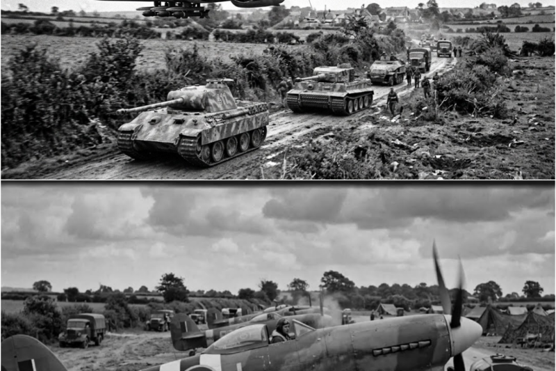 The British Trick That Turned the Hawker Typhoon Into a Tank Killer in Just Seconds