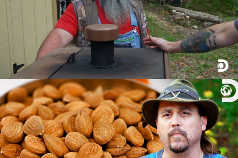 Best Fall Moonshine Flavors l Moonshiners