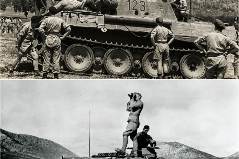 How WWII Armored Warfare Shifted When US Tanks Met Elite German Panzers