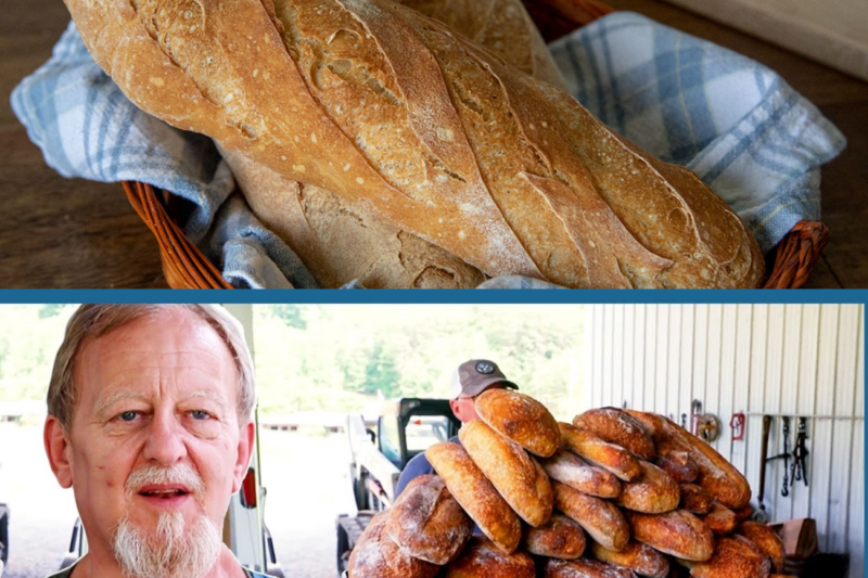 “This Is My Worst N1ghtmare”: Moonshiners’ Bold Bakery Experiment Turns Into a Costly Di1saster
