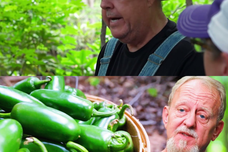 “Liquid Fire”: Mark and Digger’s Wildest Experiment Yet Leaves Everyone Gasping for Air on Moonshiners