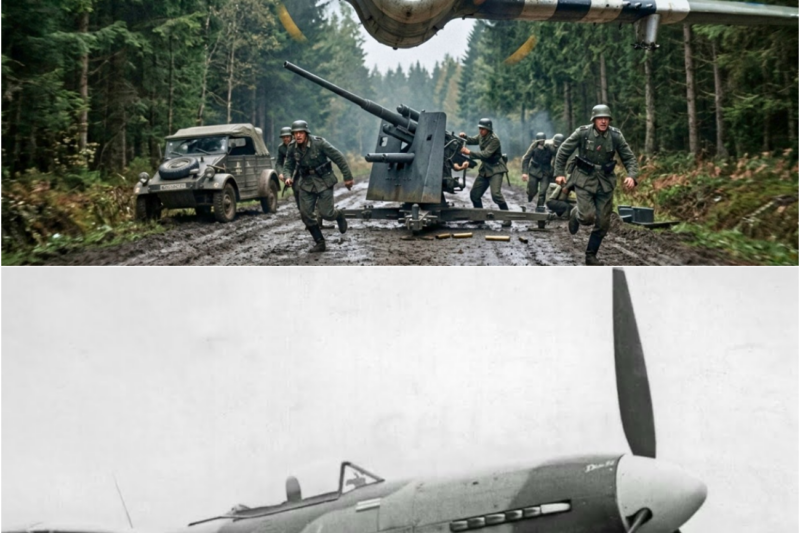Why German Flak Crews Were TERRIFIED To Fire At American Fighters