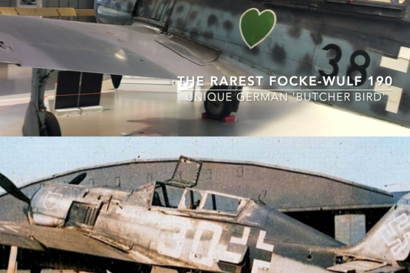 The Rarest Focke Wulf 190: The Unique “Butcher Bird” That Survived History