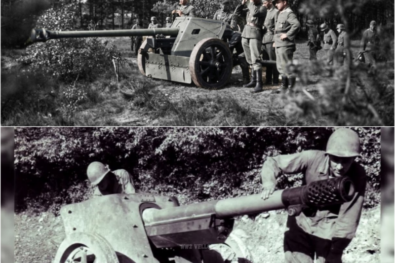 Why German Anti-Tank Crews Filed One Round and Were Dead Before They Could Reload
