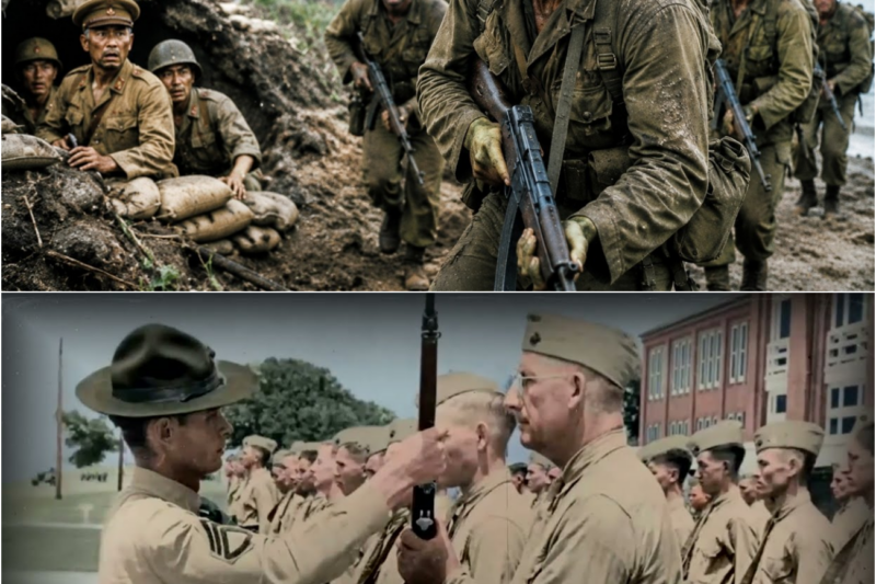 What Japanese Soldiers Said After Facing the US Marines