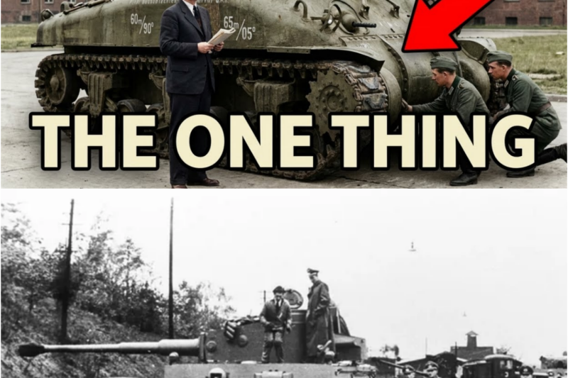 German Engineers Found One Thing About Captured Shermans They Couldn’t Believe