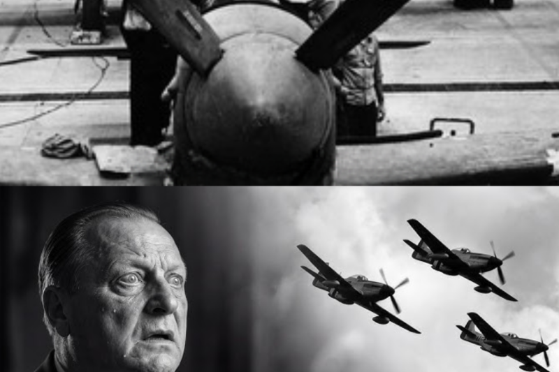 What RAF Pilots Said When They First Flew The American P 51 Mustang