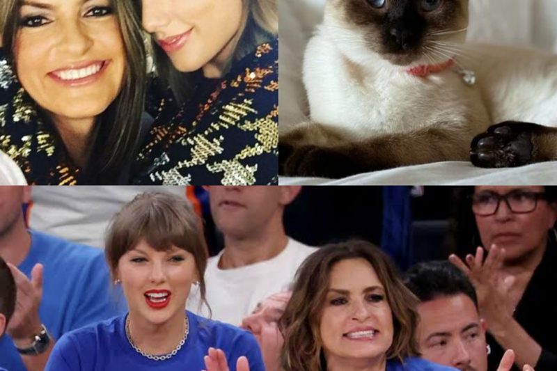 Taylor Swift and Mariska Hargitay’s Courtside Moment Reveals Why Their Friendship Continues to Captivate Fans