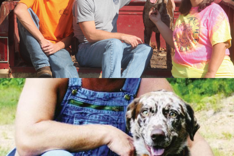 Moonshiners Star Tim Smith Devastated After Beloved Dog Camo Is Shot and Left Fighting for Survival