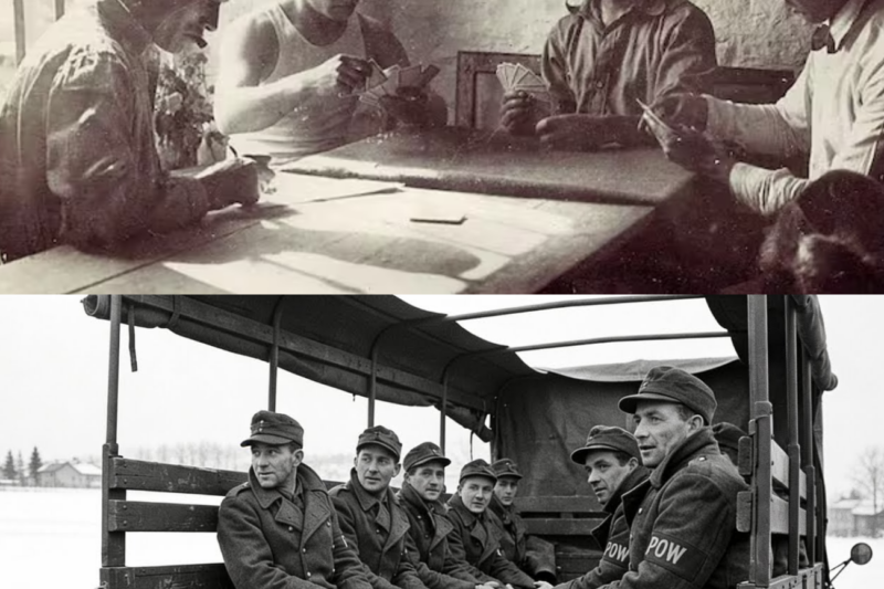 German POW Generals Were Sh0cked By Their First Sight Of Canada