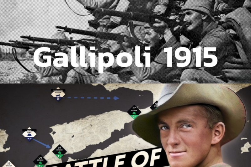 Why the Allies Lost the B4ttle of Gallipoli 1915 